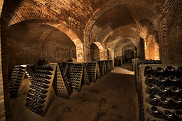 Cantine Bosca