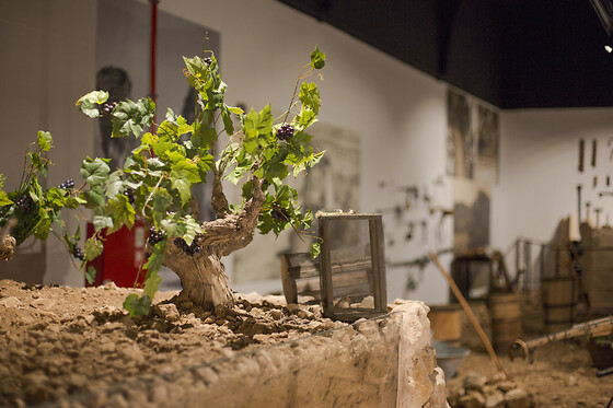 Una visita y degustación para 2 en Museo del Vino Casa de la Ermita en Jumilla (Murcia)
