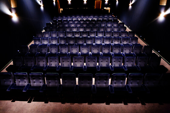 Cinema Albert - photo 7