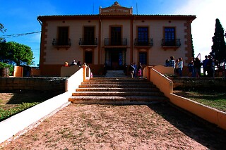Una visita a la bodega y los viñedos seguida de cata de 3 vinos con aperitivo para 2 en Bodega Vera de Estenas en Utiel (Valencia)