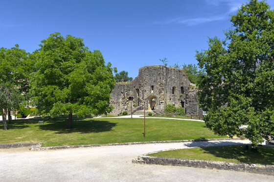 L'Hostellerie du Chateau de Bricquebec - photo 3