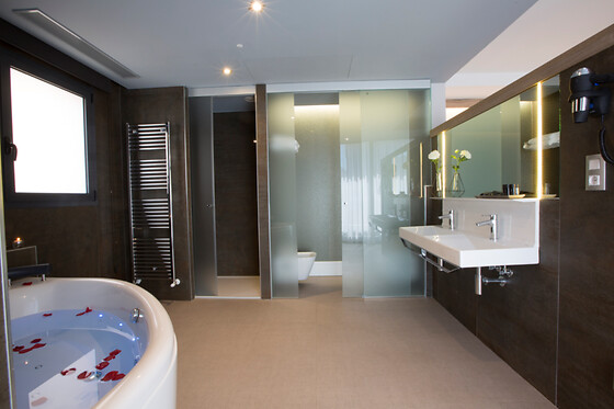 HOTEL & SPA CIUDAD DE BINÉFAR - photo 14