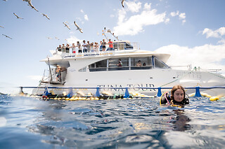 Un viaje en catamarán, una experiencia entre atunes y degustación de sashimi para 2 en Tuna Tour en L'Ametlla de Mar (Tarragona)