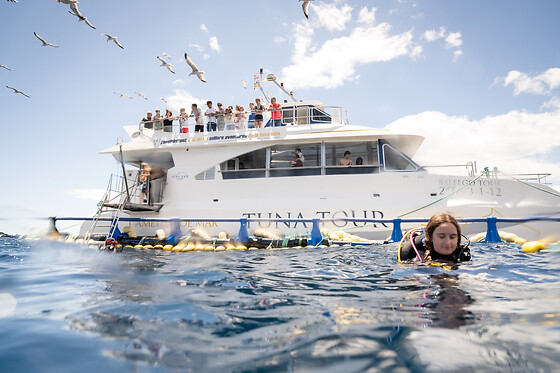 Un viaje en catamarán, una experiencia entre atunes y degustación de sashimi para 2 en Tuna Tour en L'Ametlla de Mar (Tarragona)