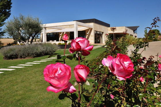 BODEGA  PIEDRA - photo 0