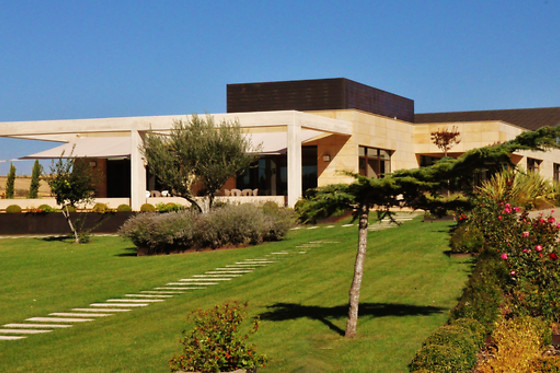 BODEGA  PIEDRA - photo 2