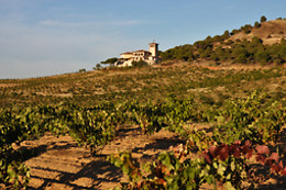 BODEGA  PIEDRA