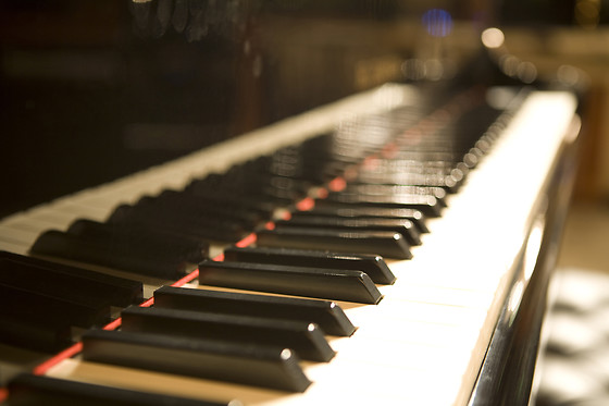 Imusic-School - photo 4