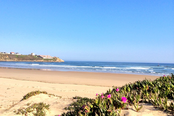 HOTEL MAR AZUL Y SURF - photo 6