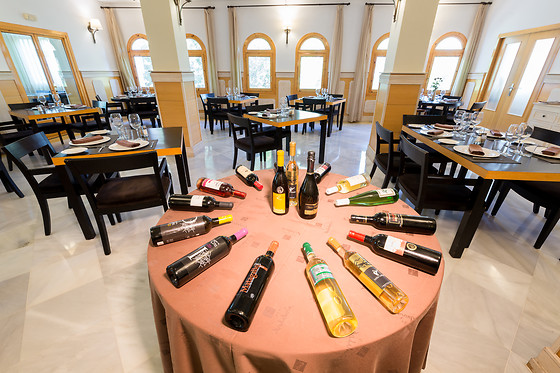 Una noche en habitación doble deluxe para 2 en Villa Turística de Laujar de Andarax*** en Almería