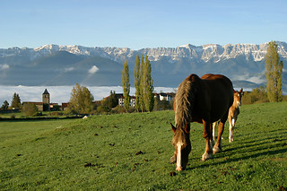 Dos noches con desayuno en habitación doble superior con bañera de hidromasaje para 2 en Hotel Mirador en Lles de Cerdanya (Lérida)