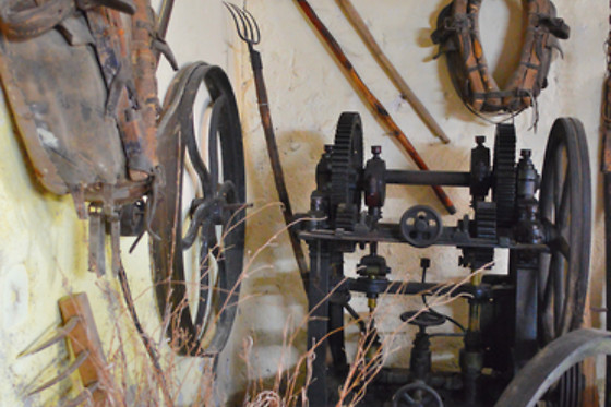 CELLER CAL MENESCAL - photo 2