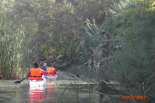 Descenso del Ebro en Kayak con Rogles Aventura en Miravet (Tarragona)