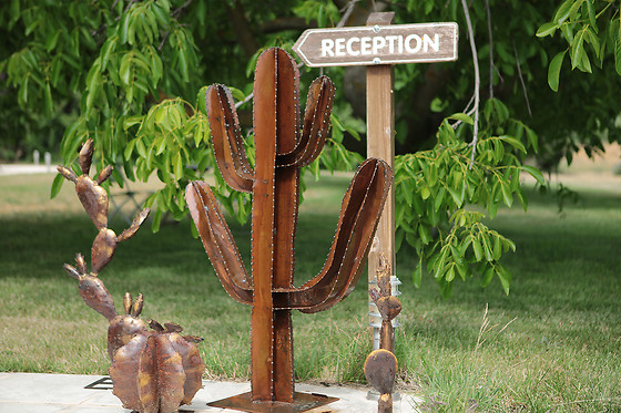 Dejeunez Sous L'arbre - photo 20