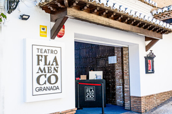 Dos entradas para Experiencia Premium con Meet & Greet con los artistas en Teatro Flamenco Granada, en Granada