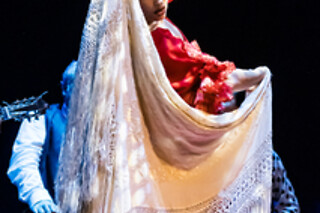 Dos entradas para Experiencia Premium con Meet & Greet con los artistas en Teatro Flamenco Granada, en Granada