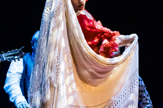 Dos entradas para Experiencia Premium con Meet & Greet con los artistas en Teatro Flamenco Granada, en Granada