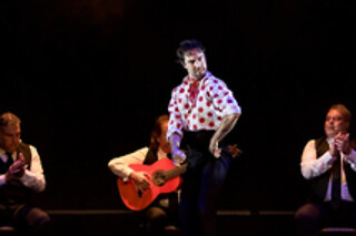 Dos entradas para Experiencia Premium con Meet & Greet con los artistas en Teatro Flamenco Granada, en Granada