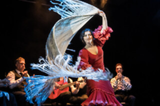Dos entradas para Experiencia Premium con Meet & Greet con los artistas en Teatro Flamenco Granada, en Granada
