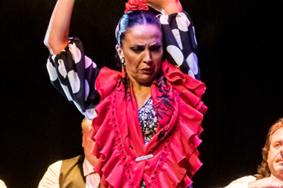 Dos entradas para Experiencia Premium con Meet & Greet con los artistas en Teatro Flamenco Granada, en Granada