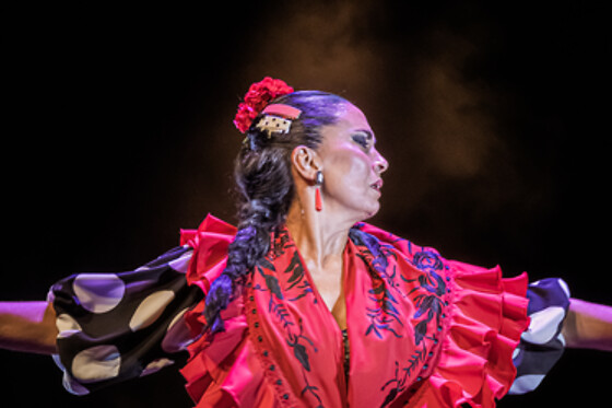 Dos entradas para Experiencia Premium con Meet & Greet con los artistas en Teatro Flamenco Granada, en Granada