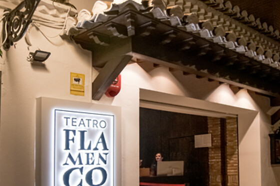 Dos entradas para Experiencia Premium con Meet & Greet con los artistas en Teatro Flamenco Granada, en Granada
