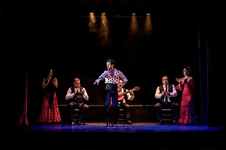 Dos entradas para Experiencia Premium con Meet & Greet con los artistas en Teatro Flamenco Granada, en Granada