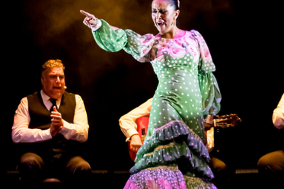 Dos entradas para Experiencia Premium con Meet & Greet con los artistas en Teatro Flamenco Granada, en Granada