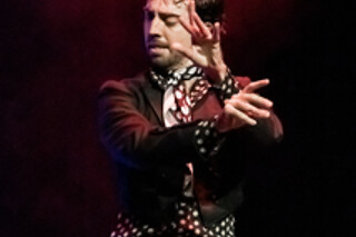 Dos entradas para Experiencia Premium con Meet & Greet con los artistas en Teatro Flamenco Granada, en Granada