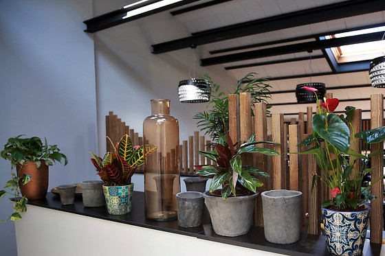 HOTEL CIMS DE CAMPRODON - photo 6