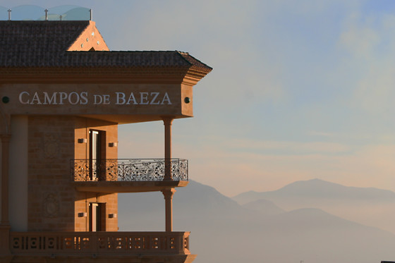 HOTEL CAMPOS DE BAEZA - photo 9
