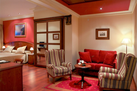 HOTEL PALACIO DE LA MAGDALENA - photo 28
