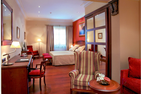 HOTEL PALACIO DE LA MAGDALENA - photo 4