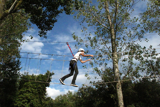 ANIGAMI AVENTURA - photo 9