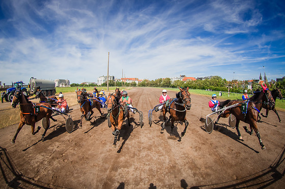 Oostende Koerse - photo 6