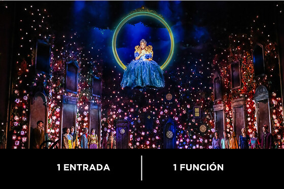 Wicked - 1 entrada