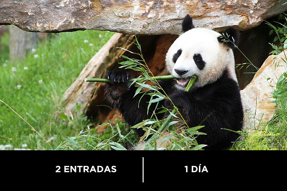 Zoo Aquarium - 2 personas