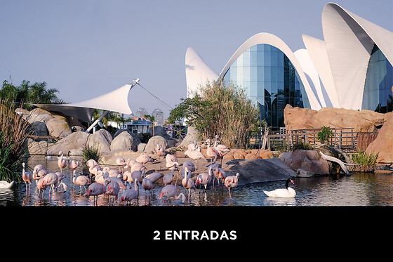 Especial Comunión: Oceanografic Valencia