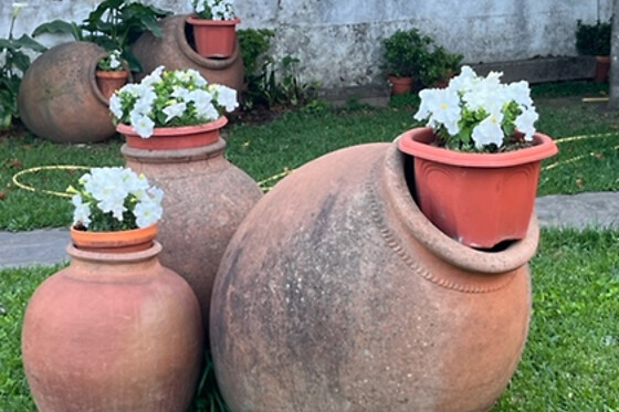 HOTEL RURAL DON JULIO - photo 9