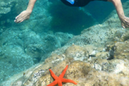 ECOAGATA