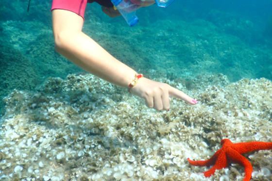 ECOAGATA - photo 7