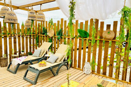 SERENDIPIA NATURAL SOCIAL CLUB