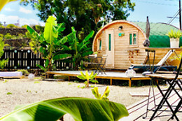 SERENDIPIA NATURAL SOCIAL CLUB