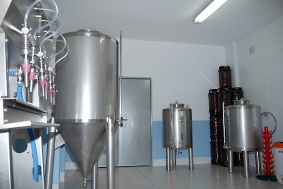 CERVEXA MEIGA - photo 3