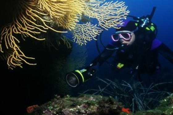 Aquatic Rando - photo 22