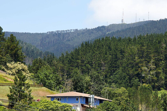 Una noche con desayuno y experiencia bienestar para 2 en Hotel Txoriene en Arrieta (Bizkaia)