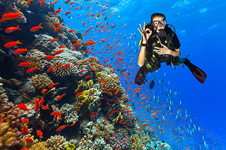 Aventura & naturaleza