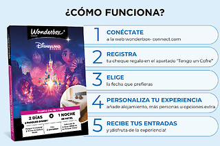 Disneyland Paris Estancia - 2 días /  2 parques - 1 noche