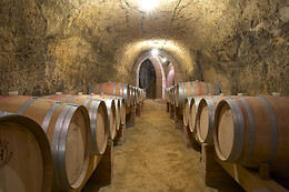 BODEGA REMIGIO SALAS JALÓN