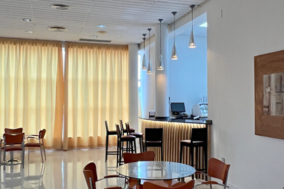 HOTEL BLU TORRE DE SEVILLA - photo 4